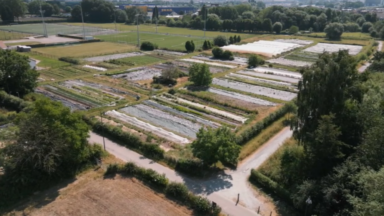 Projet ‘Biotiful’ : se former à l’agriculture urbaine à Bruxelles