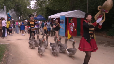 Le Parc Royal en fête : une multitude d’activités organisées pour le 21 juillet