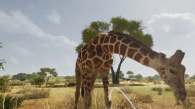Un zoo “du futur” à Bruxelles : Gaia propose d’observer les animaux en réalité virtuelle