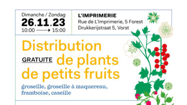 “KleinPetitFruit” : distribution d’arbustes fruitiers aux Saint-Gillois et Forestois ce dimanche 26 novembre