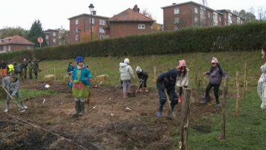 Anderlecht : une nouvelle Tiny Forest plantée par les élèves de l’école Moortebeek