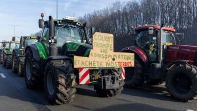 Grogne des agriculteurs : des perturbations sur le ring, les tracteurs toujours dans Bruxelles