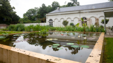 Le Jardin botanique de Meise a enregistré un nouveau record de visiteurs en 2023