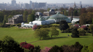 La Régie des Bâtiments à la recherche d’une entreprise pour restaurer la serre royale “Jardin d’Hiver” à Laeken