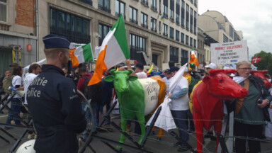 Les agriculteurs européens ont défilé avec leurs “vaches” à Bruxelles pour demander un “revenu équitable”