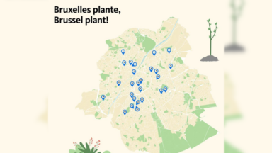“Bruxelles Plante!”: 26 idées citoyennes pour végétaliser l’espace public ont été retenues