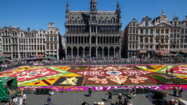 Le tapis de fleurs de Bruxelles composé de dahlias pour la première fois