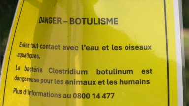 La toxine botulique prélevée au Bois de la Cambre : les autorités mettent en garde les promeneurs sur les dangers