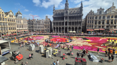 20.000 personnes ont pu apprécier le tapis de fleurs depuis le balcon de l’Hôtel de Ville