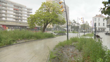 Inauguration de la nouvelle place Keym à Watermael-Boitsfort après des mois de travaux