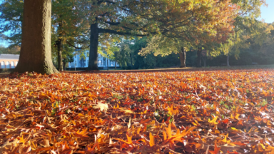 Ce 25 octobre est le plus chaud jamais enregistré