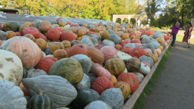 Des sculptures, des activités, et une multitude de citrouilles au château de Grand-Bigard