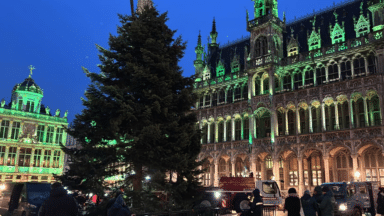 Le sapin de Noël est arrivé sur la Grand Place