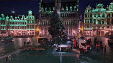 “Il est merveilleux, bien rond, très fourni”: le sapin de Noël ornera la Grand-Place jusqu’au 5 janvier