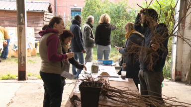 Deuxième édition de“KleinPetitFruit” : distribution d’arbustes fruitiers aux Saint-Gillois et Forestois ce dimanche 24 novembre