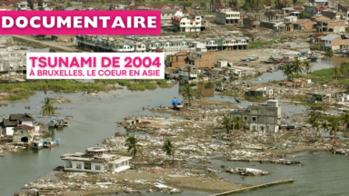 Il y a vingt ans, le tsunami dans l’Océan indien : retour sur l’impact à Bruxelles