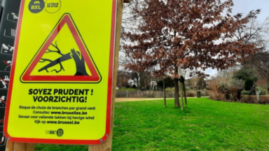 Fortes rafales de vent : les espaces verts seront fermés ce lundi