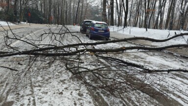 Neige dans la capitale : le Bois de la Cambre fermé à la circulation jusqu’à nouvel ordre