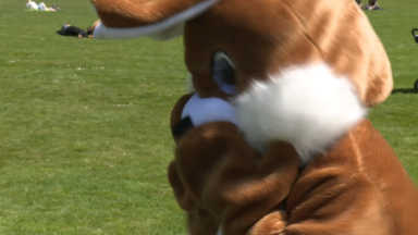 Une grande chasse aux œufs organisée au parc Josaphat