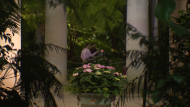 Le public émerveillé durant les nocturnes des Serres Royales de Laeken