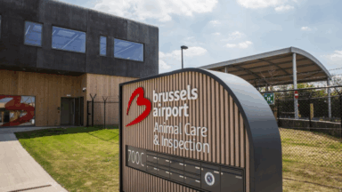 Près de 10 000 animaux accueillis au centre Animal Care & Inspection de Brussels Airport depuis 2020
